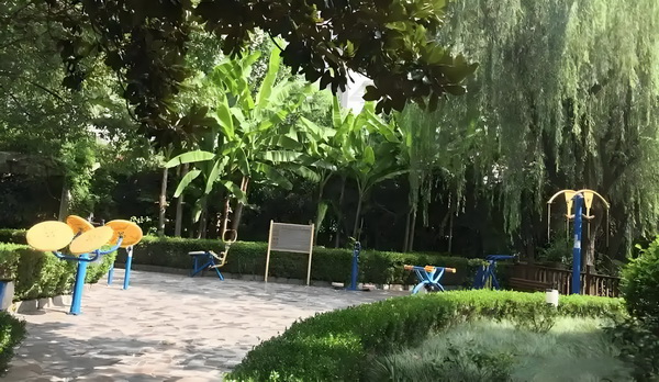 人才引进落户的政策_对比刀郎对降央卓玛的连环起诉，汪苏泷对张碧晨还是太心软了 荣耀》是带养的而《王者成线