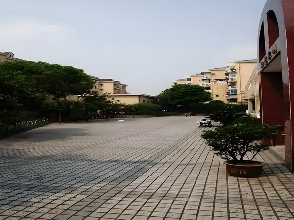 积分入户深圳需要什么条件具备_《长安的荔枝》满意度居暑期档以来第二位，为大鹏导演作品最高分 /月对比5万万元结论